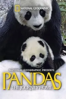 პანდები: შინ დაბრუნება (ქართულად) / Pandas: The Journey Home ქართულად 2026 / pandebi shin dabruneba qartulad