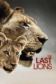 უკანასკნელი ლომები (ქართულად) / The Last Lions ქართულად 2026 / ukanaskneli lomebi qartulad