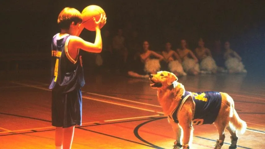 ჰაერის მეფე (ქართულად) / Air Bud ქართულად 2026 / haeris mepe qartulad