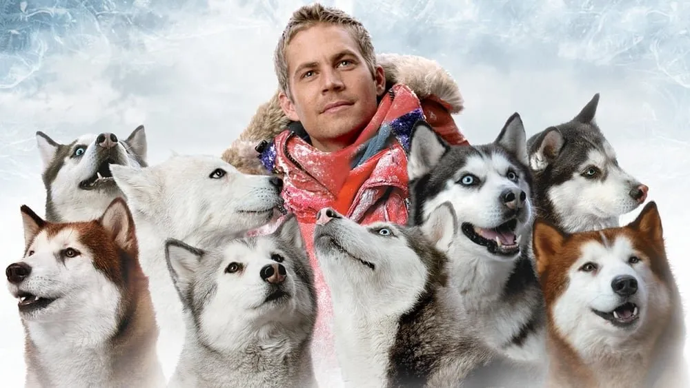 ანტარქტიკა (ქართულად) / Eight Below (Antarqtika Qartulad) ქართულად 2026 / antarktika qartulad