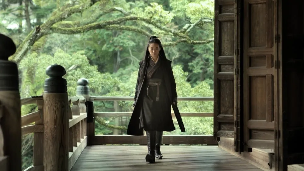 მკვლელი (ქართულად) / The Assassin (Mkvleli Qartulad) ქართულად 2026 / mkvleli qartulad