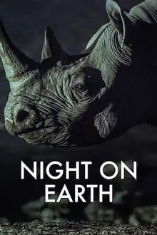 ღამე დედამიწაზე (ქართულად) / Night on Earth (Game Dedamiwaze Qartulad) ქართულად 2026 / ghame dedamitsaze qartulad