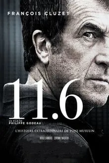 11.6 (ქართულად) / 11.6 ქართულად 2026 / 11 6 qartulad