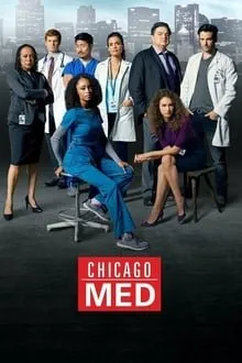 ჩიკაგოს ექიმები სეზონი 3 (ქართულად) / Chicago Med Season 3 ქართულად 2026 / chikagos ekimebi sezoni 3 qartulad