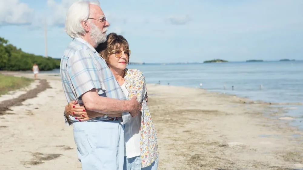 დღესასწაულის ძიებაში (ქართულად) / The Leisure Seeker (Dgesaswaulis Dziebashi Qartulad) ქართულად 2026 / dghesastsaulis dziebashi qartulad