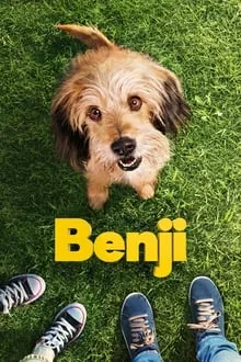 ბენჯი (ქართულად) / Benji (Benji Qartulad) ქართულად 2026 / benji qartulad