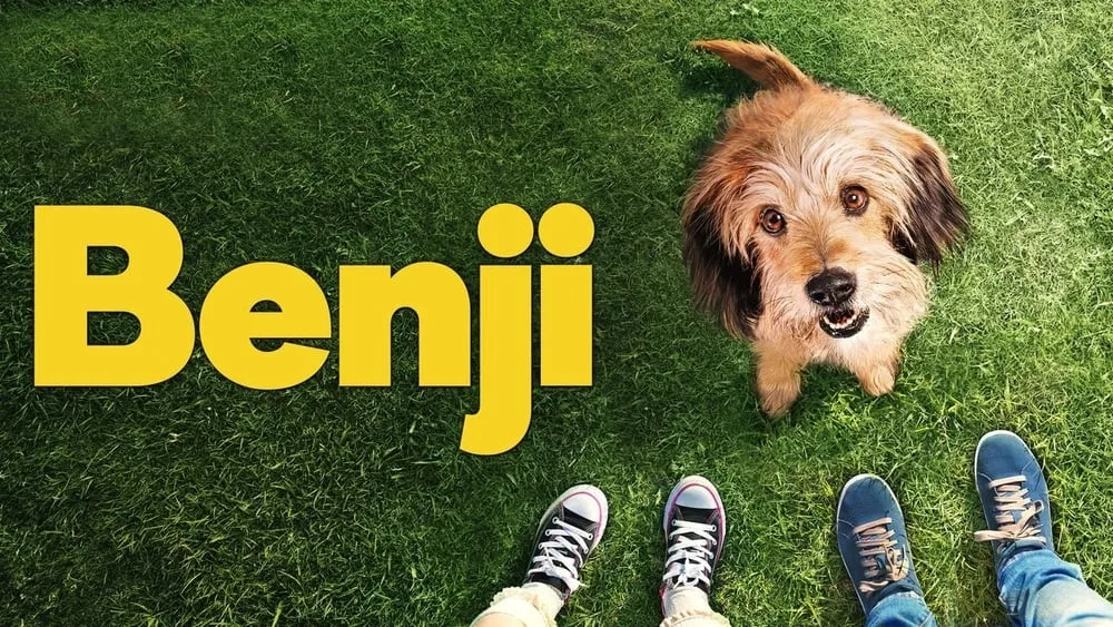 ბენჯი (ქართულად) / Benji (Benji Qartulad) ქართულად 2026 / benji qartulad