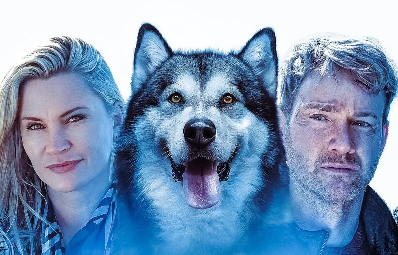 გმირი ძაღლი (ქართულად) / Hero Dog: The Journey Home (Gmiri Dzagli Qartulad) ქართულად 2026 / gmiri dzaghli qartulad