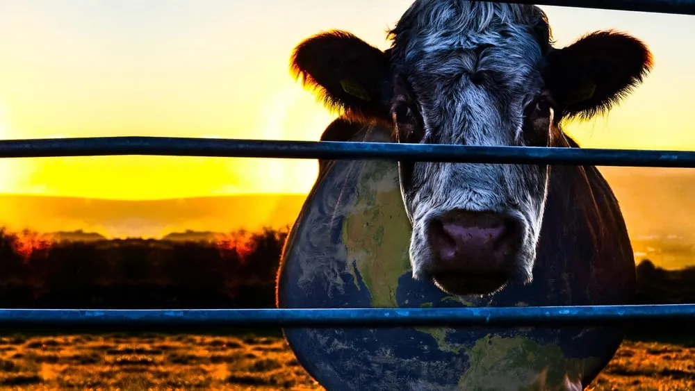 მდგრადობის საიდუმლო (ქართულად) / Cowspiracy: The Sustainability Secret (Mdgradobis Saidumlo Qartulad) ქართულად 2026 / mdgradobis saidumlo qartulad