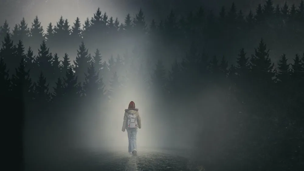 გოგონა ნისლში (ქართულად) / The Girl in the Fog (Gogona Nislshi Qartulad) ქართულად 2026 / gogona nislshi qartulad