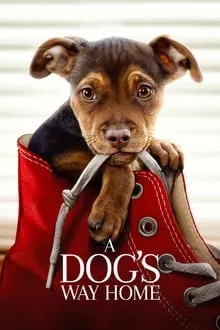 ძაღლის გზა შინისაკენ (ქართულად) / A Dog's Way Home (Dzaglis Gza Shinisaken Qartulad) ქართულად 2026 / dzaghlis gza shinisaken qartulad