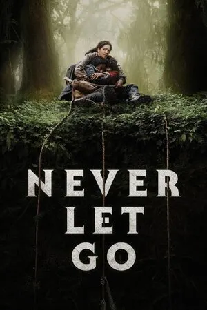 არასოდეს გაუშვა (ქართულად) / Never Let Go (Arasodes Gaushva Qartulad) ქართულად 2026 / arasodes gaushva qartulad