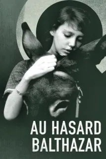 ასეთია ცხოვრება ბალთაზარ (ქართულად) / Au Hasard Balthazar ქართულად 2026 / asetia tskhovreba baltazar qartulad