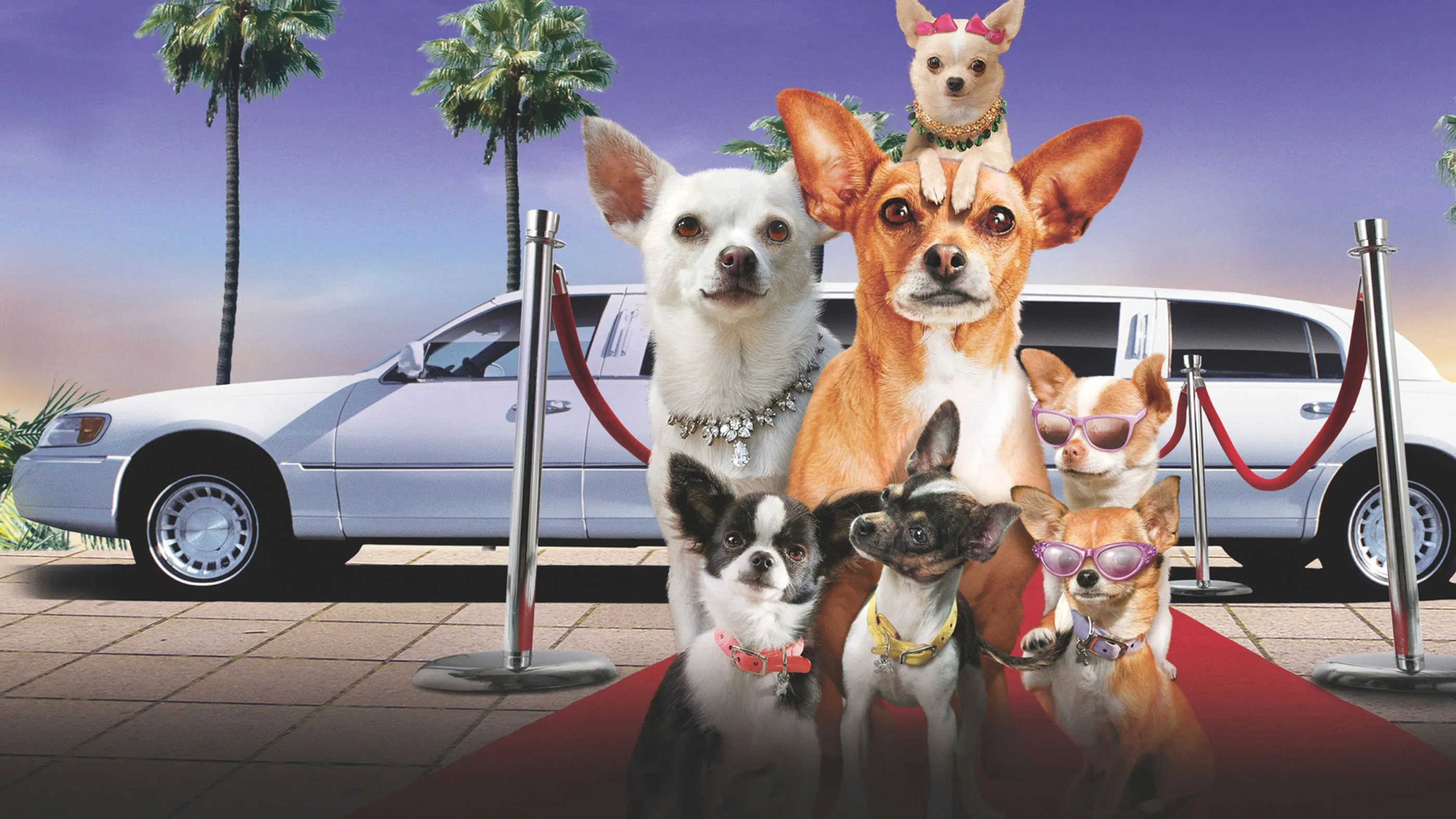 ჩიხუახუა ბევერლი ჰილზიდან 2 (ქართულად) / Beverly Hills Chihuahua 2 (Chixuaxua Beverli Hilzidan 2 Qartulad) ქართულად 2026 / chikhuakhua beverli hilzidan 2 qartulad