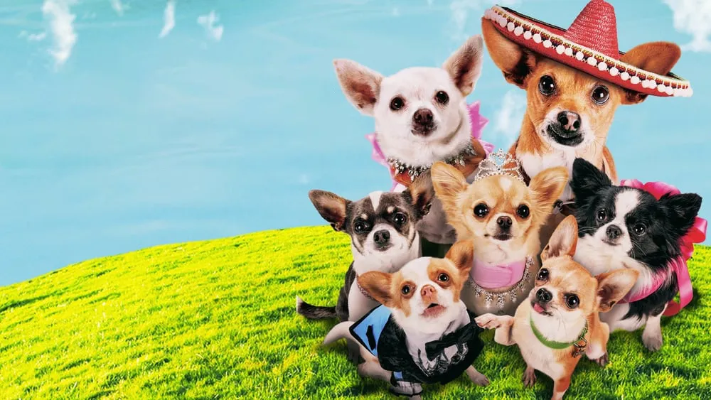 ჩიხუახუა ბევერლი ჰილზიდან 3 (ქართულად) / Beverly Hills Chihuahua 3: Viva La Fiesta! (Chixuaxua Beverli Hilzidan 3 Qartulad) ქართულად 2026 / chikhuakhua beverli hilzidan 3 qartulad