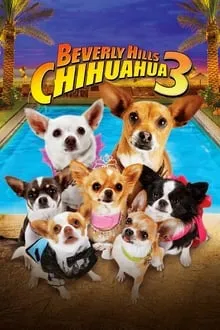 ჩიხუახუა ბევერლი ჰილზიდან 3 (ქართულად) / Beverly Hills Chihuahua 3: Viva La Fiesta! (Chixuaxua Beverli Hilzidan 3 Qartulad) ქართულად 2026 / chikhuakhua beverli hilzidan 3 qartulad
