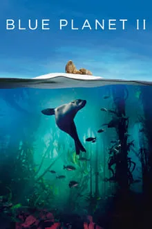 ლურჯი პლანეტა II (ქართულად) / Blue Planet II (Lurji Planeta II Qartulad) ქართულად 2026 / lurji planeta ii qartulad