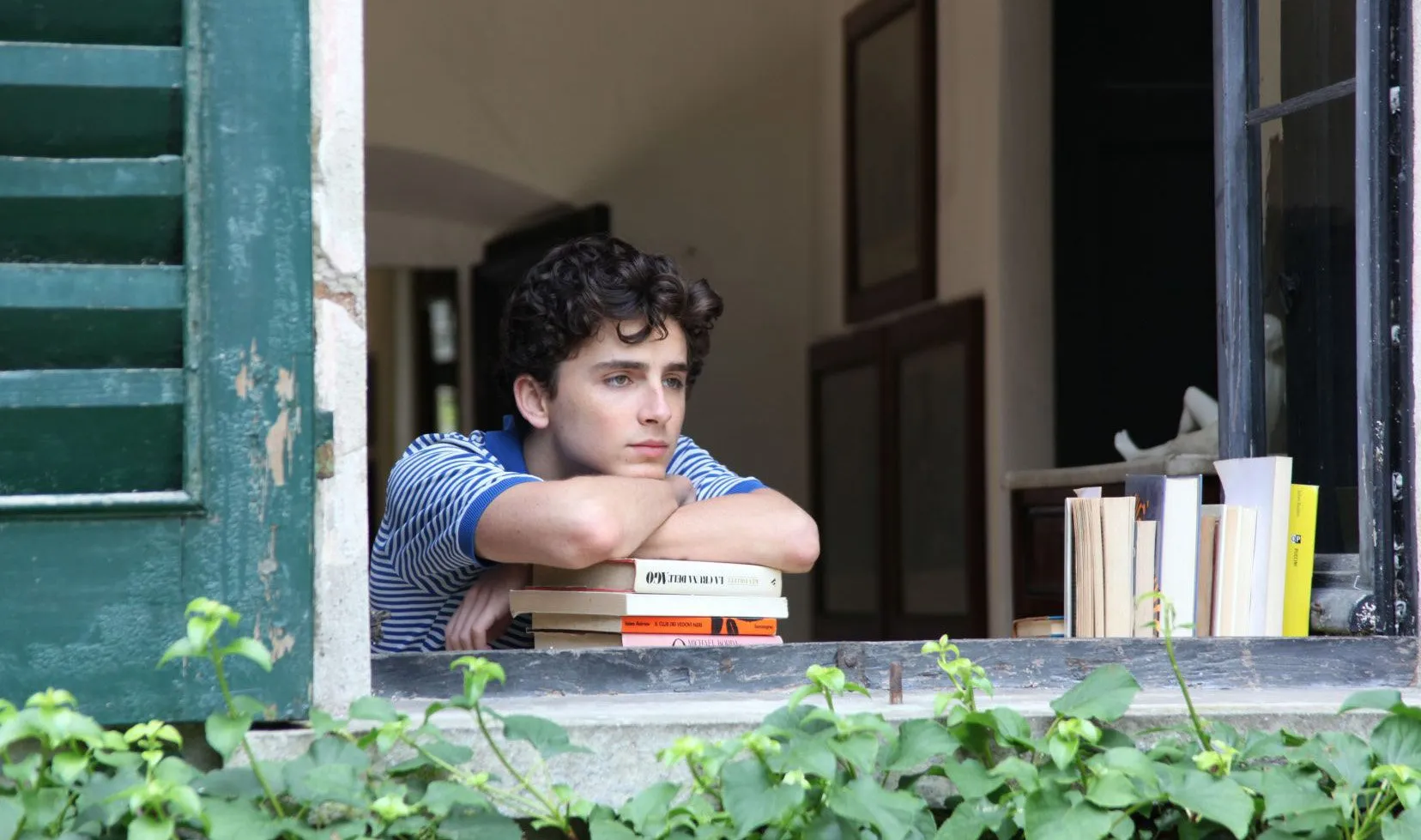 შენი სახელით მომმართე (ქართულად) / Call Me by Your Name (Sheni Saxelit Mommarte Qartulad) ქართულად 2026 / sheni sakhelit mommarte qartulad