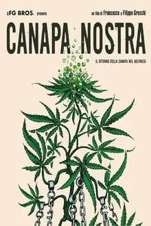 ჩვენი კანაფი (ქართულად) / Canapa Nostra (Chveni Kanafi Qartulad) ქართულად 2026 / chveni kanapi qartulad