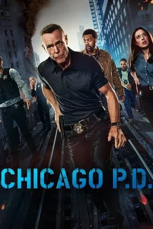 ჩიკაგოს პოლიცია (ქართულად) / Chicago P.D. (Chikagos Policia Qartulad) ქართულად 2026 / chikagos politsia qartulad