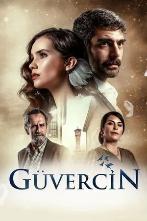 მტრედი (ქართულად) / The Pigeon (Güvercin) ქართულად 2026 / mtredi qartulad