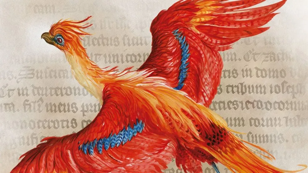 ჰარი პოტერი: ჯადოსნური ისტორია (ქართულად) / Harry Potter: A History of Magic ქართულად 2026 / hari poteri jadosnuri istoria qartulad