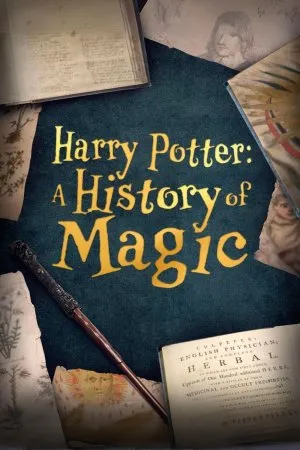 ჰარი პოტერი: ჯადოსნური ისტორია (ქართულად) / Harry Potter: A History of Magic ქართულად 2026 / hari poteri jadosnuri istoria qartulad