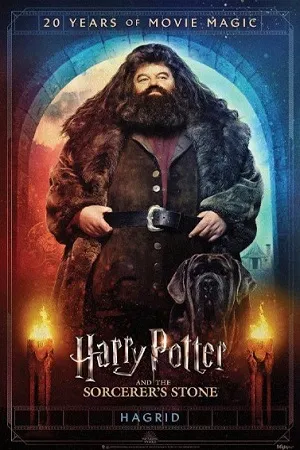 ჰარი პოტერი და ფილოსოფიური ქვა (ქართულად) / Harry Potter and the Sorcerer's Stone (Hari Poteri Da Filosofiuri Qva Qartulad) ქართულად 2026 / hari poteri da pilosopiuri kva qartulad