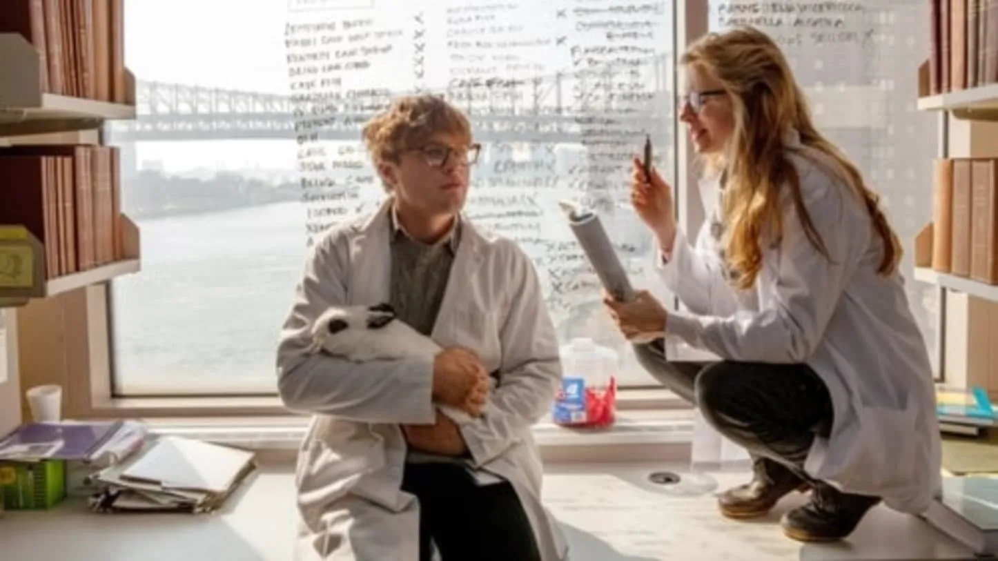 მე დასაწყისი (ქართულად) / I Origins (Me Dasawyisi Qartulad) ქართულად 2026 / me dasatsqisi qartulad