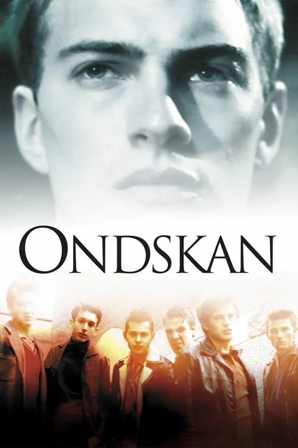 ბოროტება (ქართულად) / Evil (Ondskan) ქართულად 2026 / boroteba qartulad