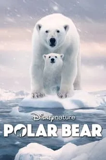 პოლარული დათვი (ქართულად) / Polar Bear (Polaruli Datvi Qartulad) ქართულად 2026 / polaruli datvi qartulad