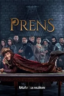 პრინცი (ქართულად) / Prens (Princi Qartulad) ქართულად 2026 / printsi qartulad