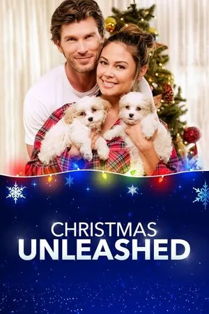 შობა დაიწყო (ქართულად) / Christmas Unleashed (Shoba Daiwyo Qartulad) ქართულად 2026 / shoba daitsqo qartulad