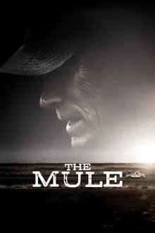 ნარკოკურიერი (ქართულად) / The Mule (Narkokurieri Qartulad) ქართულად 2026 / narkokurieri qartulad