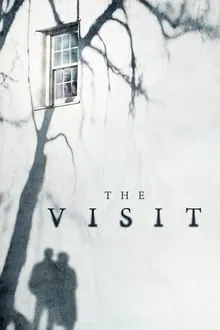 სტუმრობა (ქართულად) / The Visit (Viziti Qartulad) ქართულად 2026 / stumroba qartulad