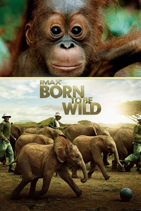 ველურებად დაბადებულნი (ქართულად) / Born to Be Wild (Velurebad Dabadebulni Qartulad) ქართულად 2026 / velurebad dabadebulni qartulad