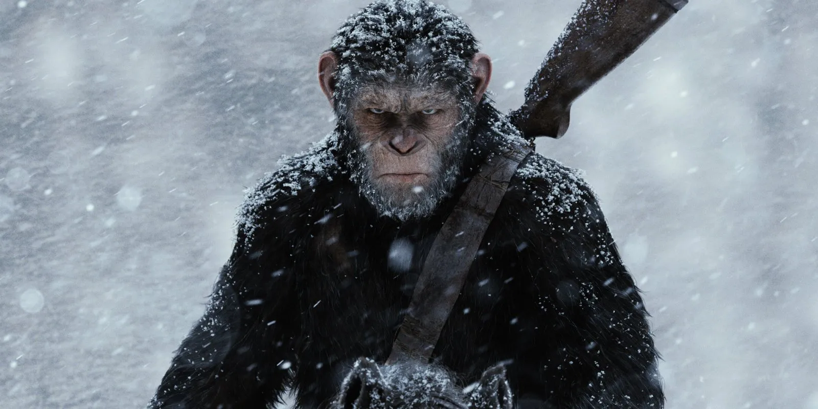 ომი მაიმუნების პლანეტაზე (ქართულად) / War for the Planet of the Apes (Omi Maimunebis Planetaze Qartulad) ქართულად 2026 / omi maimunebis planetaze qartulad