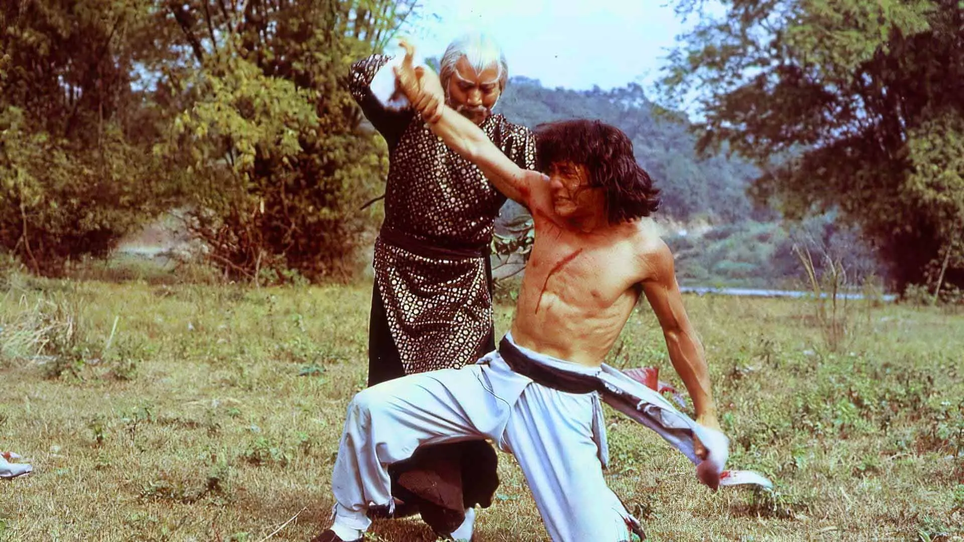 უშიშარი ჰიენა (ქართულად) / The Fearless Hyena (Xiao quan guai zhao) ქართულად 2026 / ushishari hiena qartulad
