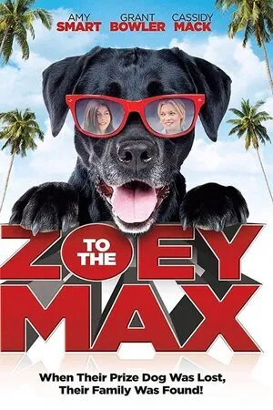 ზოი და მაქსი (ქართულად) / Zoey to the Max (Zoi Da Maqsi Qartulad) ქართულად 2026 / zoi da maksi qartulad