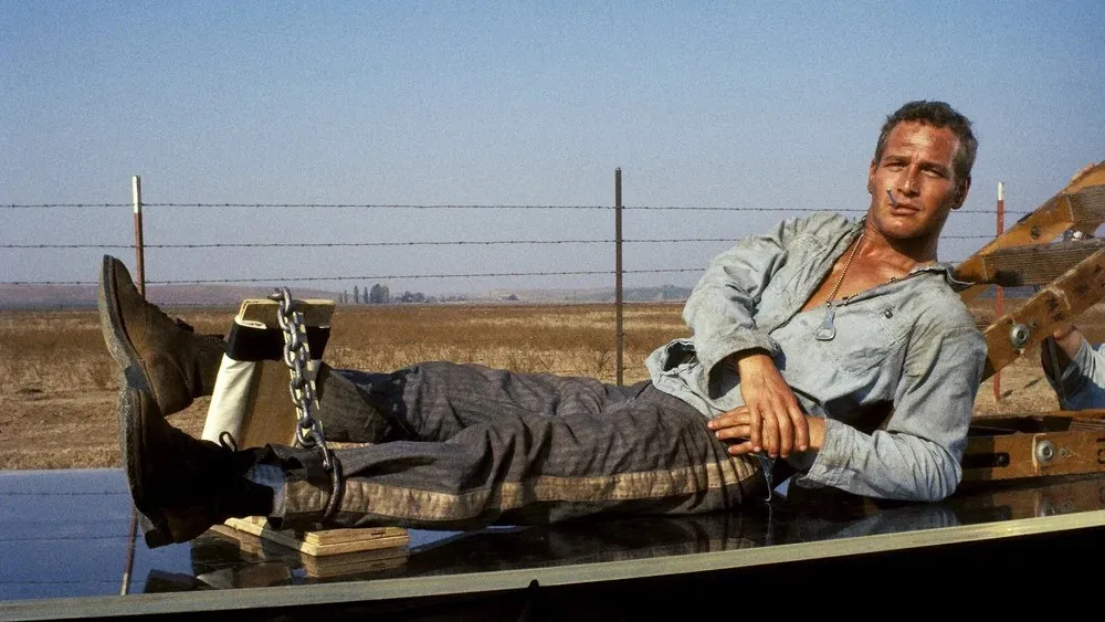 გულგრილი ლიუკი (1967) (ქართულად) / Cool Hand Luke (Gulgrili Liuki Qartulad) ქართულად 2026 / gulgrili liuki 1967 qartulad